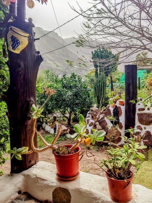 Villa Tamadaba 아게이크 외부 사진